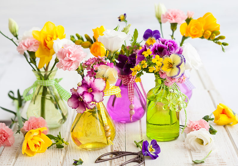 Flowers flowers  / shaped flowers